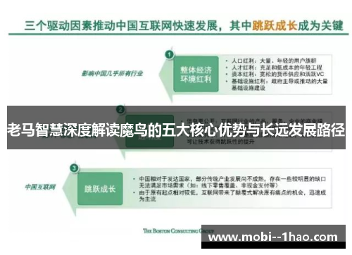 老马智慧深度解读魔鸟的五大核心优势与长远发展路径