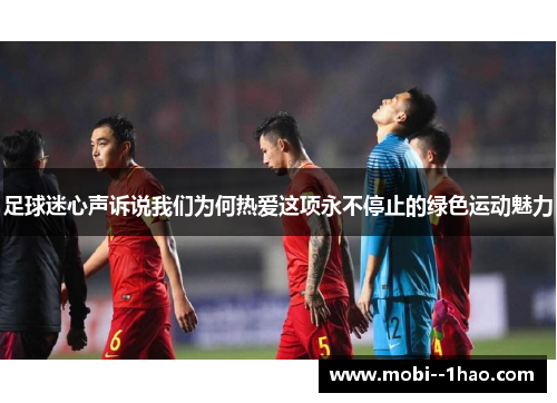 足球迷心声诉说我们为何热爱这项永不停止的绿色运动魅力