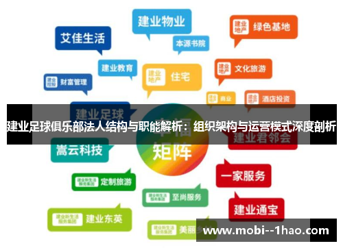 建业足球俱乐部法人结构与职能解析:组织架构与运营模式深度剖析 建业足球俱乐部法人结构与职能解析:组织架构与运营模式深度剖析