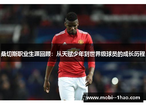 桑切斯职业生涯回顾:从天赋少年到世界级球员的成长历程 桑切斯职业生涯回顾:从天赋少年到世界级球员的成长历程