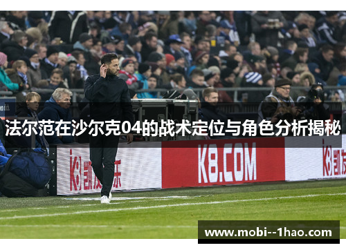 法尔范在沙尔克04的战术定位与角色分析揭秘