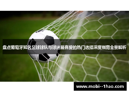 盘点葡萄牙知名足球球队与球迷最喜爱的热门选择深度指南全景解析 盘点葡萄牙知名足球球队与球迷最喜爱的热门选择深度指南全景解析