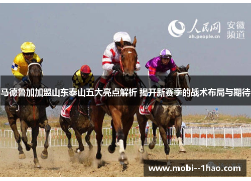 马德鲁加加盟山东泰山五大亮点解析 揭开新赛季的战术布局与期待