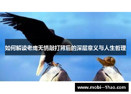 如何解读老鹰无情敲打背后的深层意义与人生哲理