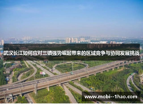 武汉长江如何应对三镇强势崛起带来的区域竞争与协同发展挑战 武汉长江如何应对三镇强势崛起带来的区域竞争与协同发展挑战