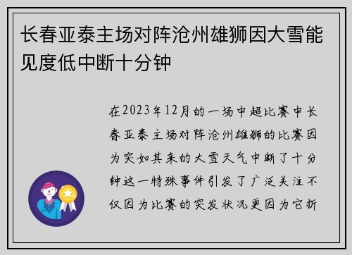 长春亚泰主场对阵沧州雄狮因大雪能见度低中断十分钟 长春亚泰主场对阵沧州雄狮因大雪能见度低中断十分钟